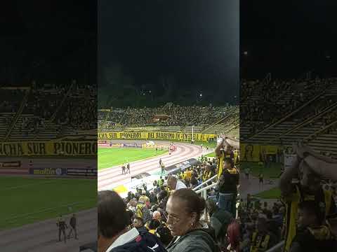 Deportivo Táchira vs La Guaira. Gol de Cariaco González. Tiro Penal. #gol #tachira #futbol #táchira