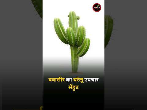 Treatment of Piles with Natural and Home Remedies : Senhood #homeremedies #pilesclinic #piles