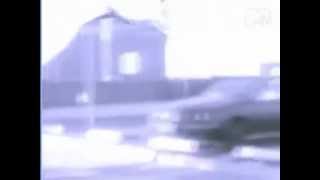 The Go Go's ~The Whole World Lost It's Head