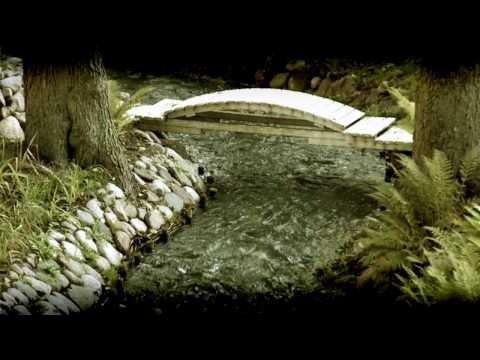 Harasimowicz, F. Chopin  - Dumka