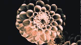 Lastlings - Urges (Kite String Tangle Remix) Teaser