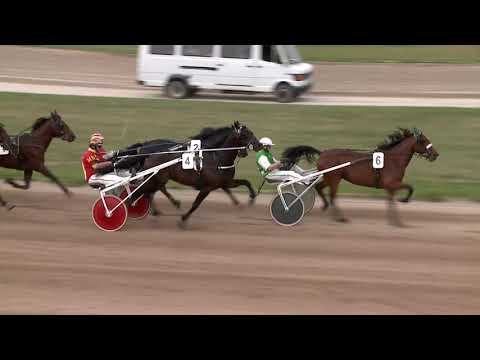 2021.05.15. 03. futam - PAPERBOY HENDIKEP