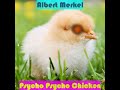 Psycho Psycho Chicken