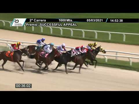 210305 c02 - NANJING - HIPODROMO LAS PIEDRAS