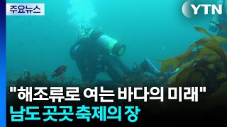 "해조류로 여는 바다의 미래"...남도 곳곳 축제의 장 / YTN