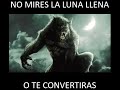 Pelicula De Terror Completa En Español Luna Sangrienta