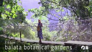 Princess Cruises: Martinique in A Day Princess Cruises: Martinique in A Day