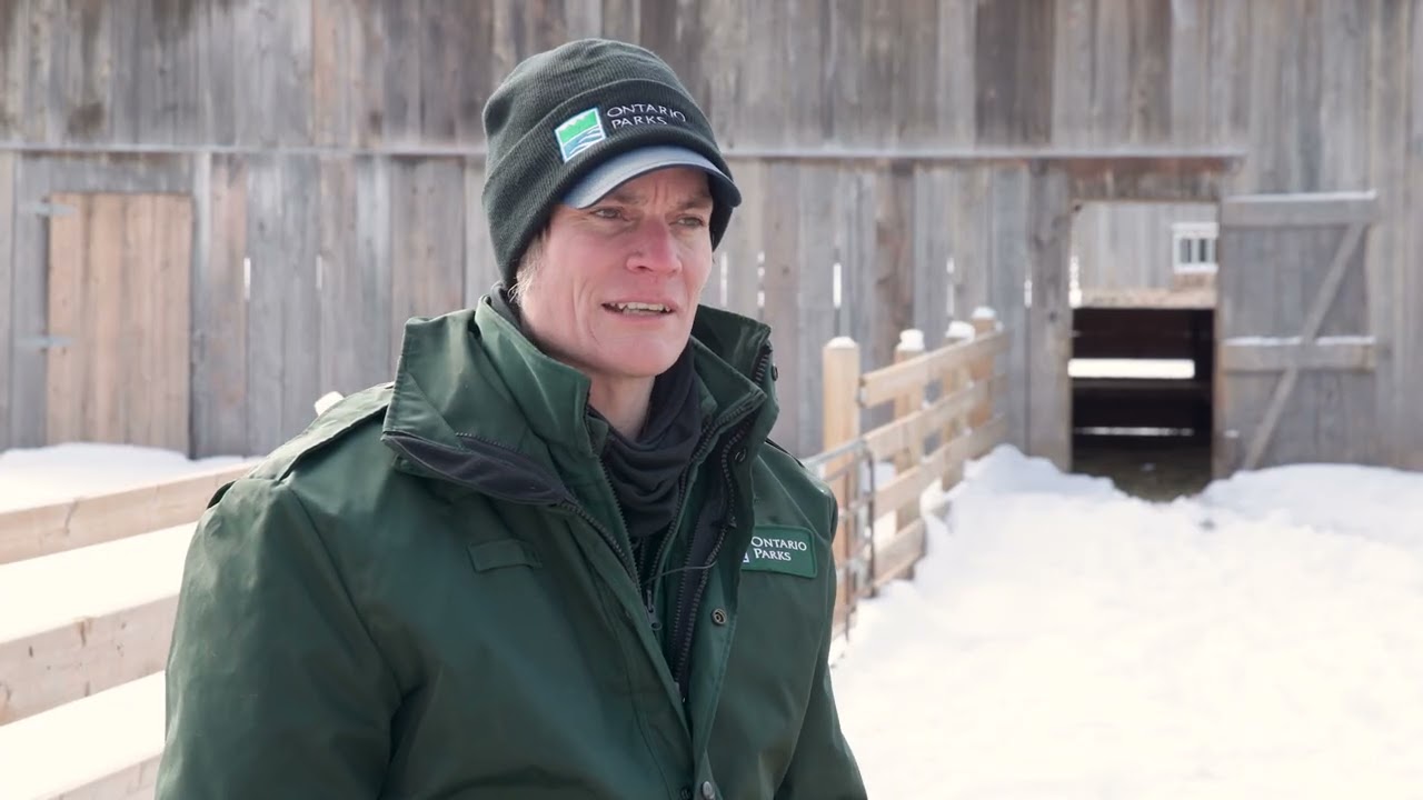 Day in the Life of an Ontario Parks Naturalist