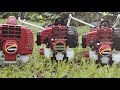 Why Choose Shindaiwa