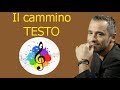 Eros Ramazzotti-Il cammino (testo in italiano)