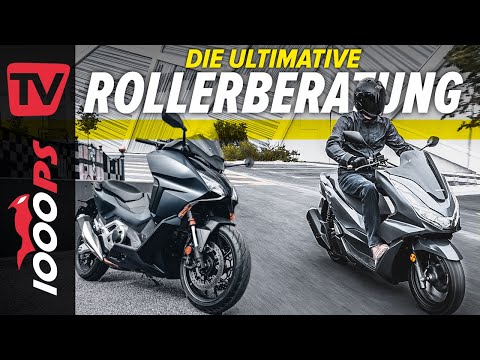 Die ultimative Roller Beratung! Welchen Roller soll ich kaufen?