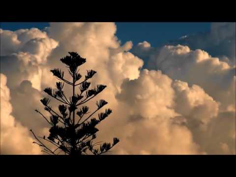 MARTA BERGHEAUA - Prabusit in ruga