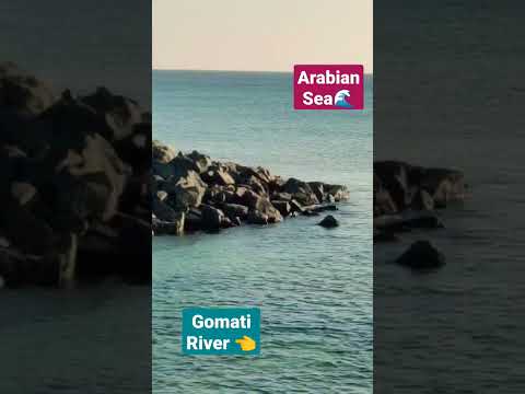 Gomati meets arabian sea #sangam