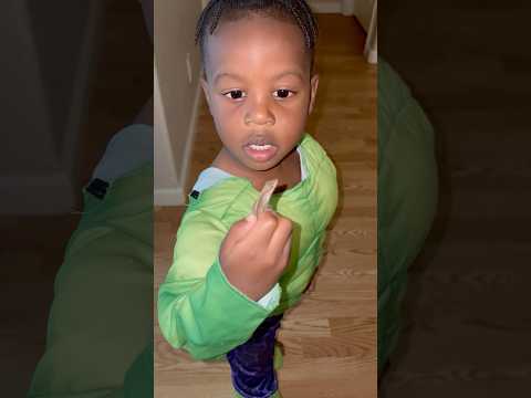 Surprise Pet Adoption Mode 🏠🐾 #funnyvideos #kids #animals #usa#funnyanimals