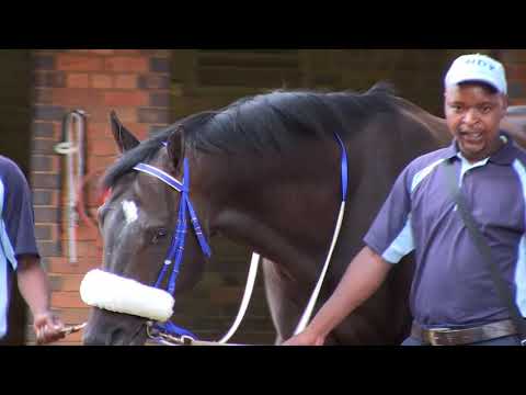 L'ORMARINS QUEENS PLATE WELCOMES THE BUFFALO
