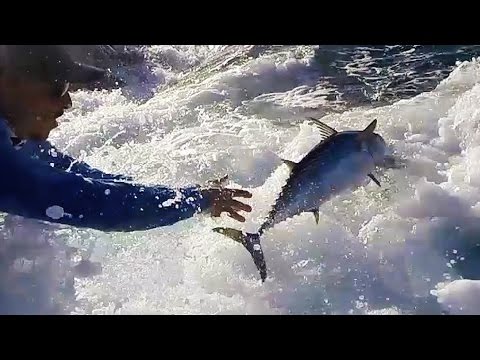 Catch and Release Fishing for Pelagic Fish