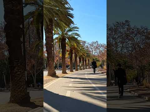 Vuelta al Lago del Parque General San Martín #mendoza #argentina #travel