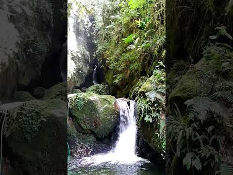 Marulanda, Caldas 🇨🇴 #travel #cascadas #colombia #turismo #lugares #naturaleza #pueblos #nature