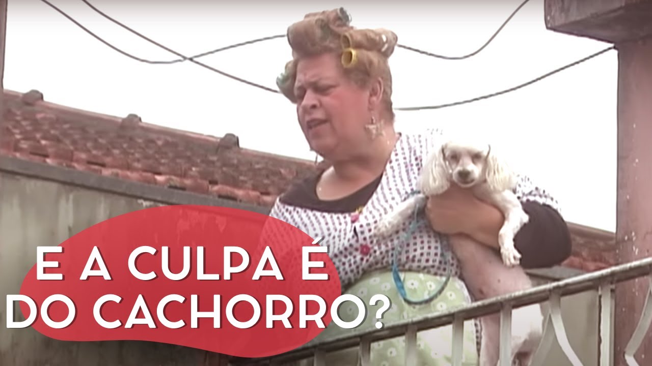 O CACHORRINHO NÃO SABE SEGURAR O XIXI | CÂMERAS ESCONDIDAS