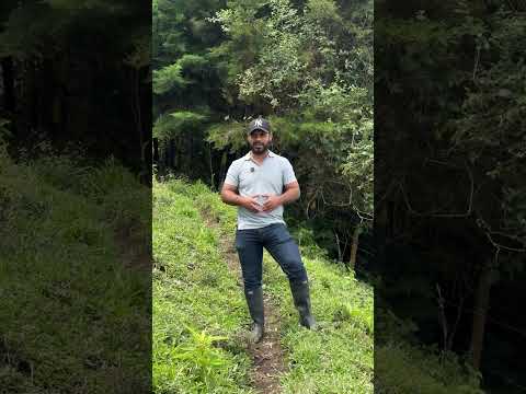 El agua que llega a nuestros hogares nace en las montañas de La Merced