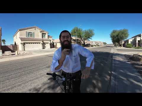 Movement Update! - Lessons from Noach on Building and Belief