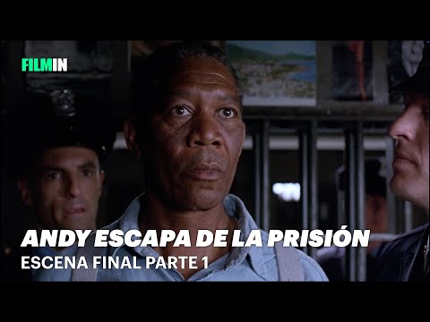 El Inicio de la Libertad: Andy en "Cadena Perpetua"  | Filmin