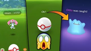 Best way to catch shiny ditto in pokemon go | How to catch ditto pokemon go | Shiny Ditto in 2024