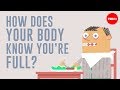 How Does Your Body Know You Re Full Hilary Coller