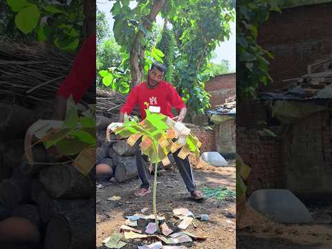 jaadui paison ka bij part 1😂😂 #trendingshorts #youtubeshorts #viralshorts #funny #comedy #shorts