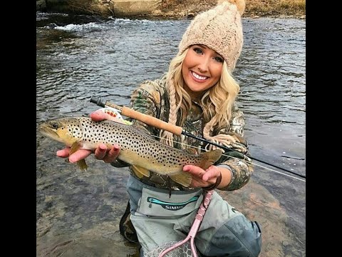 What Fish & Fishing Mean in Dreams/Biblical Dream Interpretation!