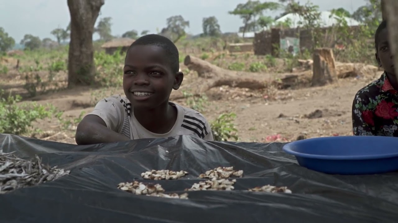 Mozambico: We Saw Fire
