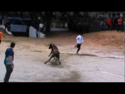 San Marcos Chico 2011