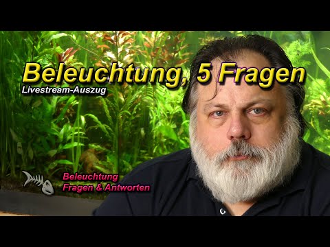 5 ALLGEMEINE FRAGEN zur BELEUCHTUNG im Aquarium
