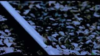 Когда идешь вперед@Lena Kaufman feat Triangle Sun