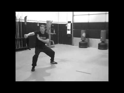 Choy Lay Fut Kung Fu: Chris & Josiah, Ng Lun Choi