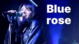 AKB48 - Blue rose