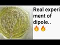 Electric Field Field Lines It S Properties Demonstration Of Dipole