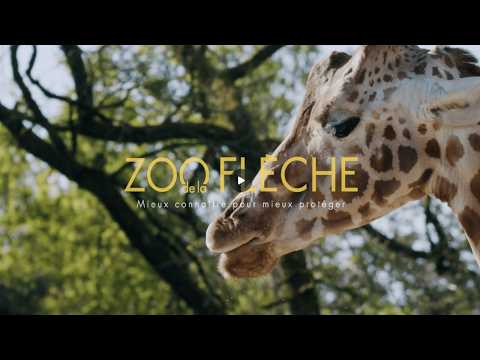 Zoo de La Flèche | Vidéo officielle 2025