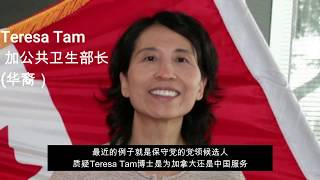 Anti-Asian Racism during the COVID-19 Pandemic | 疫情期间的反亚歧视