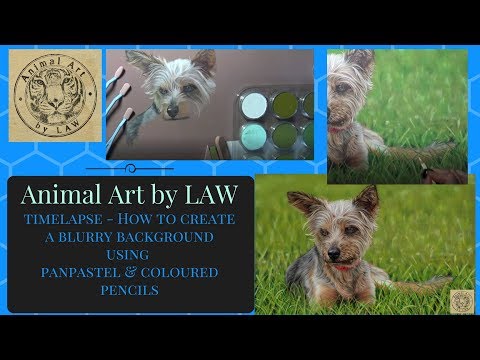 How to Create a Soft Blurry Background Using PanPastels & Coloured Pencils - Timelapse