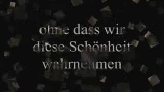 Parrish&amp;Toppano "cello"