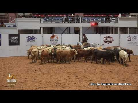 Dualin Stargun ridden by Justin E. Lawrence  - 2018 C of C (WGH Herd Work, Prelims)