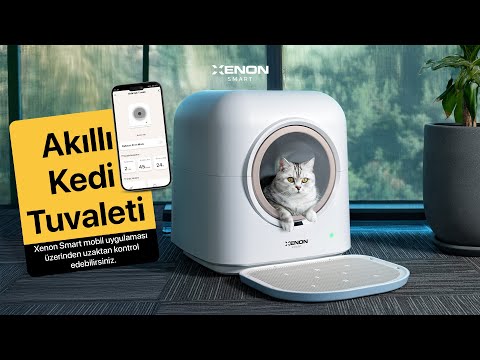 Akıllı Kedi Tuvaleti