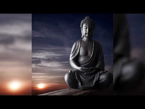 Joseph Goldstein – Insight Hour – Ep. 22 – Clear Comprehension