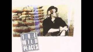 Dan Fogelberg - The Wild Places (Full Album)  1990