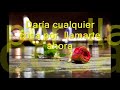Daría cualquier cosa    Chayanne