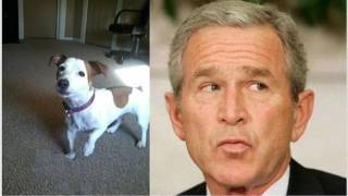 Download lagu I Think My Dog's A Democrat mp3