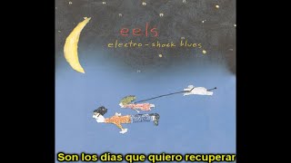 Eels - The Medication Is Wearing Off (Subtitulada en Español)