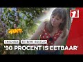 Bezoekje aan Vera's eetbare voedselbos