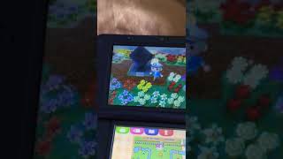 How to get rid of cockroaches in Animal Crossing New Leaf